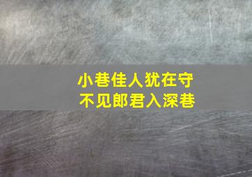 小巷佳人犹在守 不见郎君入深巷